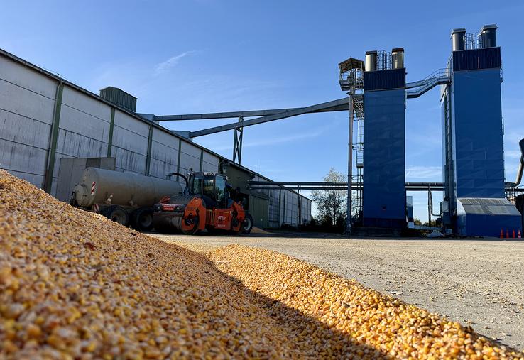 Le nouveau séchoir (à droite) permet d’optimiser la valorisation des céréales des adhérents de la coopérative. 