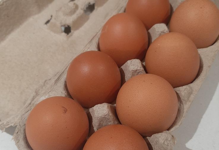 numérotation oeufs