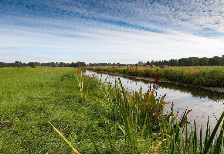 sécheresse restriction usages de l'eau