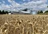 Pour la coopérative Sana Terra, le silo de Flesselles est le plus gros chantier  engagé depuis dix ans. 