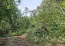 ONF forêt d'Halatte tornade
