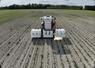 Le laser weeder lors des essais d’évaluation de performances par la Chambre d’agriculture de la Somme.