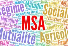 En 2026, l’assiette des cotisations sociales sera modifiée avec un plafond commun au calcul des charges sociales et des contributions sociales (CSG/CRDS).