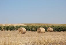 guerre Etats-Unis Iran Espagne mesures engrais carburant