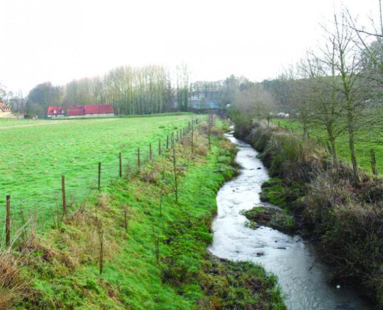 Une juridiction vient de casser un arrêté de zonage, notamment sur le volet très controversé du seuil de nitrates dans les eaux de surface pour lutter conte l'eutrophisation.