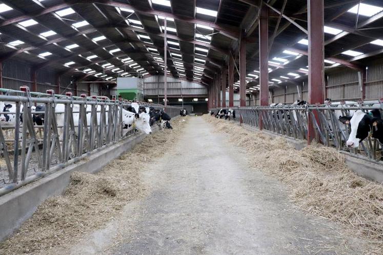 Les aménagements de bâtiment pour améliorer les conditions de travail et le bien-être animal peuvent être aidés dans le PCAE.