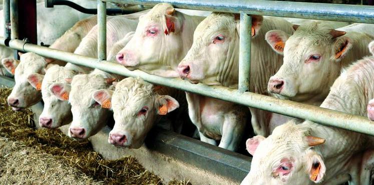 La demande d’aide doit être réalisée entre le 1er et le 31 mars 2017.