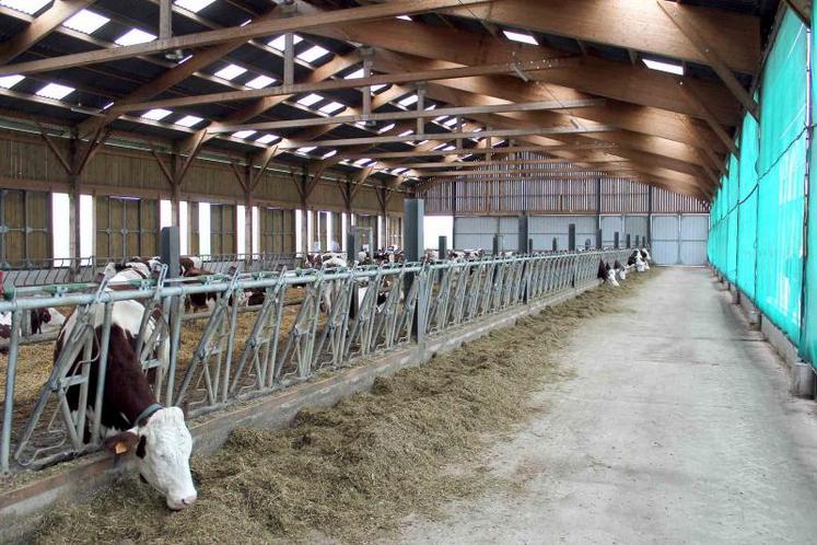 Un bâtiment qui allie clarté et respect des normes de ventilation, gage de productivité et de bien-être de l’éleveur 
et de ses animaux.