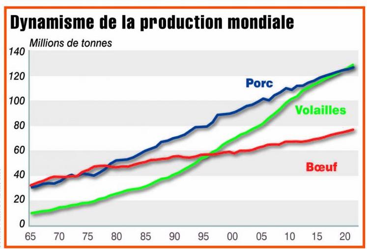 A l’échelle mondiale, les productions de porcs et de volailles sont en croissance, contrairement à la France.