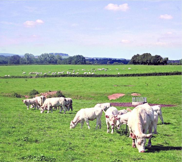 Alors que la pression sur les éleveurs s'intensifie, la Fnsea veut montrer que dans leurs pratiques ceux-ci prennent déjà en compte le bien-être des animaux.