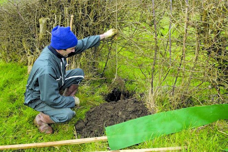 Avant de planter il est conseillé de bien se renseigner en mairie sur l’éventuelle existence de règles plus strictes pouvant s’appliquer dans votre commune.