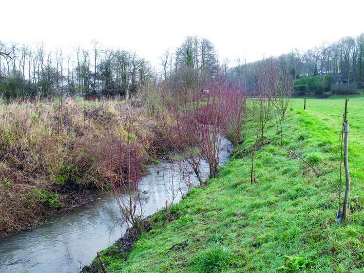 Le critère d’eutrophisation des eaux superficielles avec un seuil de 18 mg de nitrate par litre n’est aucunement défini par la directive nitrate et ne saurait donc être retenu pour étendre les zones vulnérables dans la Somme, estiment les responsables agricoles.