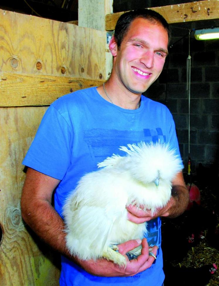 Tom Morizeau vend des poules pondeuses et tous les accessoires qui vont avec, du poulailler à la nourriture.