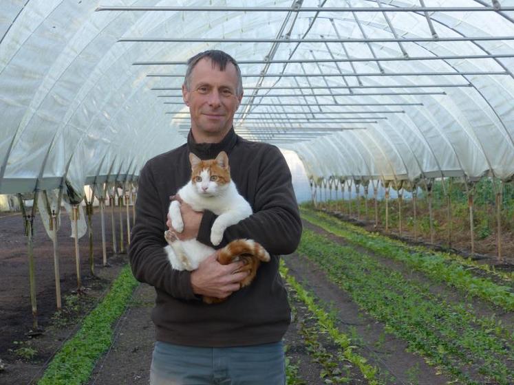 Loustic est l’un des cinq chats que Jean-Pierre Demailly a adopté pour se débarrasser des rongeurs, dévoreurs de légumes.