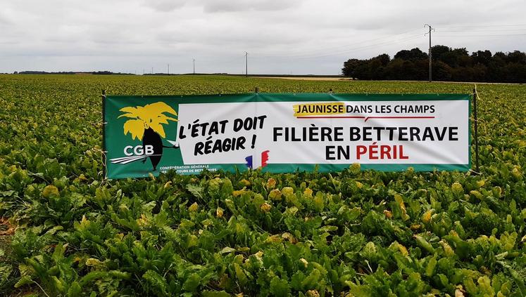 soutien région betteraves