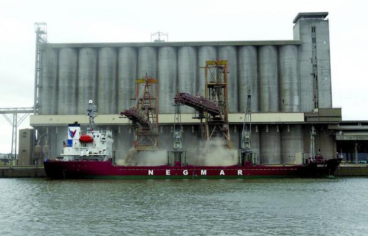 La teneur en protéines est un facteur essentiel de la compétitivité des blés français à l'export.