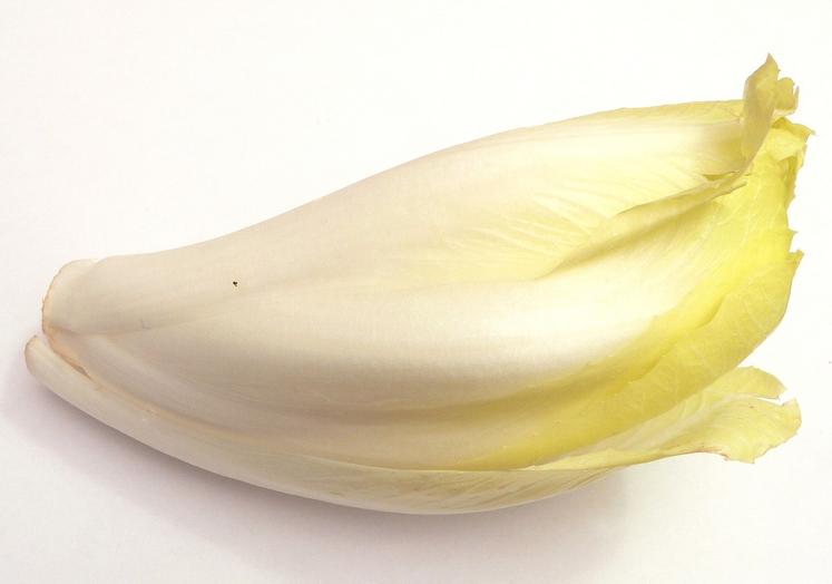 endive