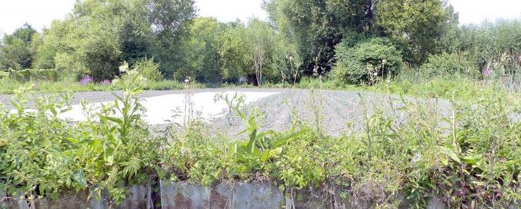 Sur 350 ha de terres dans les hortillonnnages, une vingtaine est exploitée par des agriculteurs. Une réflexion sur la mise 
en place d’un signe officiel de qualité et de l’origine est engagée pour accroître la visibilité des produits issus de ce site.