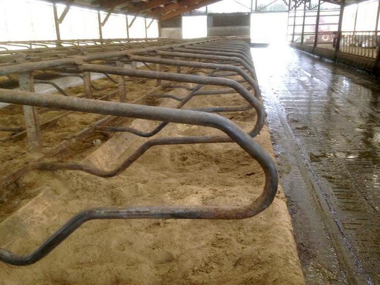 Le sable dans la logette procurera aussi un aspect non glissant au béton.