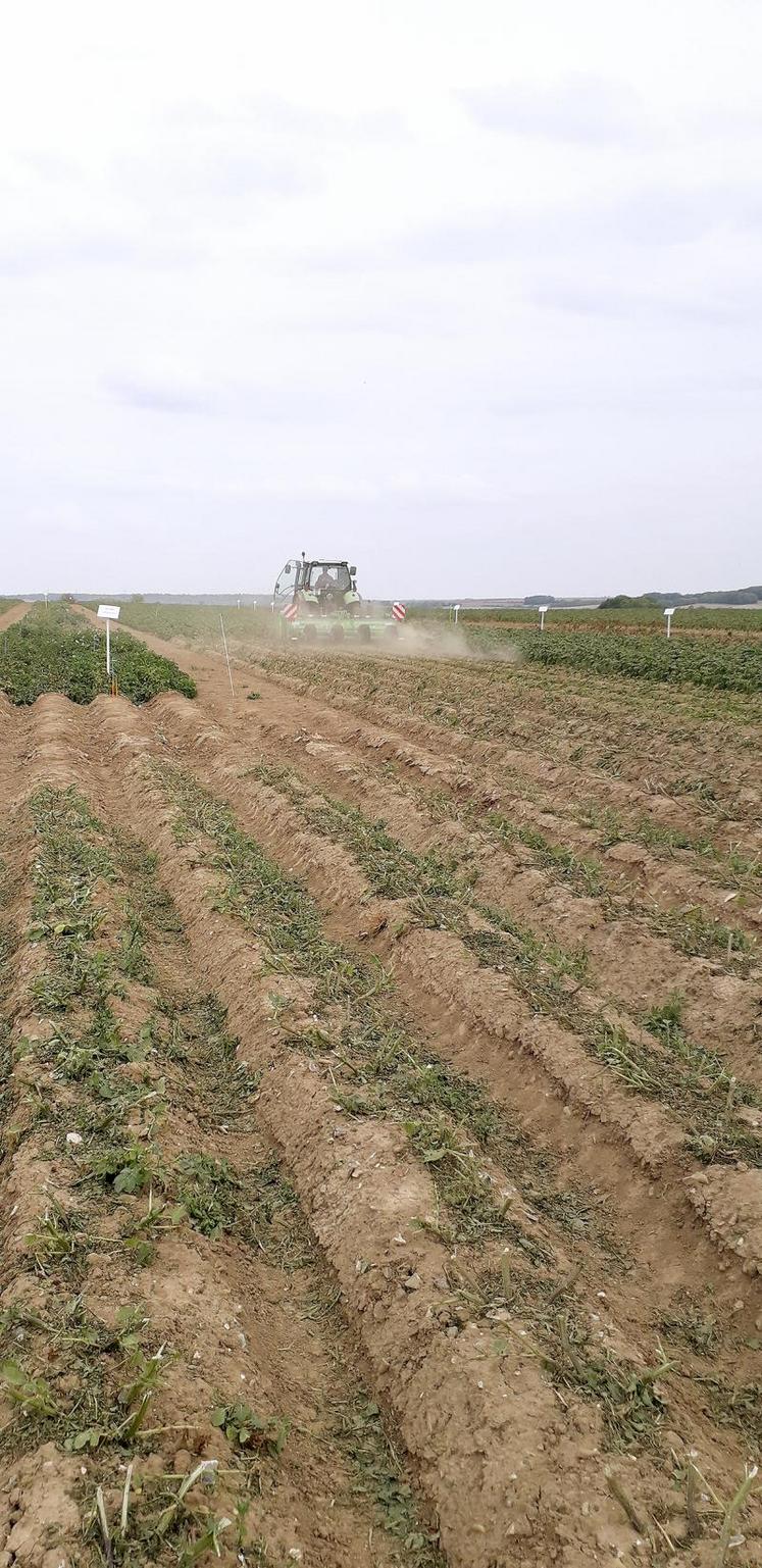 Le broyage et le défanage électrique, deux alternatives mécaniques au défanage chimique.