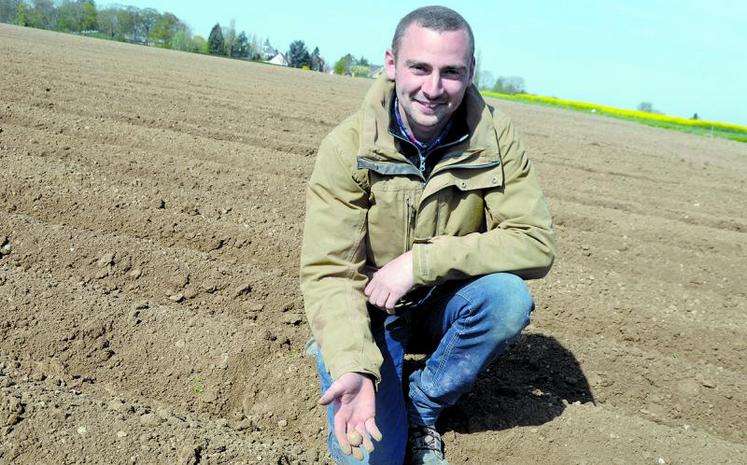 Maxime Herbet : «Quand on a repris les plantations, on s’est vite rendu compte que si l’on descendait en profondeur, la terre était encore humide.»