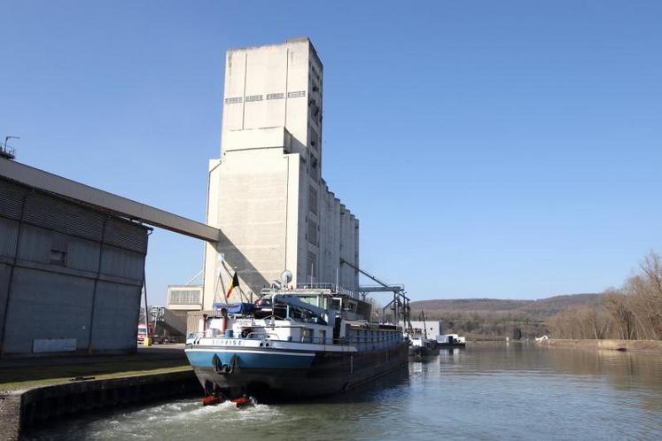 Les objectifs d’exportation d’orges vers les pays tiers sont maintenus à 3,4 Mt.