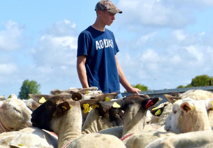 «Dès que je rentrais de l’école, je sautais dans mes bottes pour aller voir les nouveaux nés», confie Edouard.