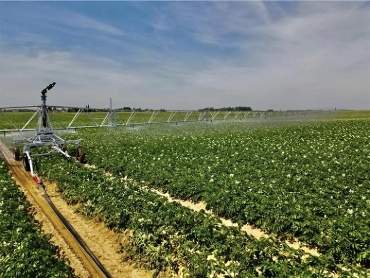 Trois systèmes principaux ont été comparés, à savoir le canon sur enrouleur, la rampe sur enrouleur et le système  de goutte-à-goutte (micro irrigation). 