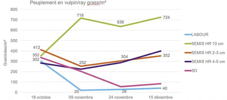 Résultats sur les témoins non traités en nb de vulpin : ray-grass/m².