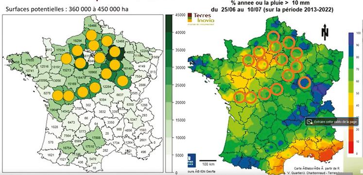 Si l'on choisit les zones où l'on a le plus de probabilité d'avoir des précipitations entre le 30 juin et le 15 juillet pour assurer une bonne levée de la dérobée,  entre 170 000 et 200 000 ha sont envisageables.