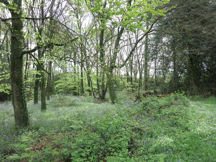 Toutes parcelles boisées vendues doivent être notifiées aux voisins de la parcelle contiguë.