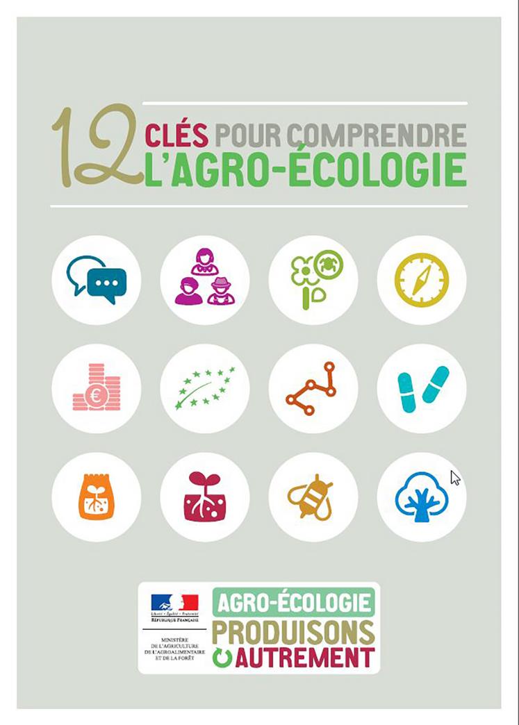 L’agroécologie est synonyme d’un grand nombre de notions et de pratiques, nouvelles et anciennes, que les conseillers doivent appréhender pour accompagner les agriculteurs sur le chemin de la transition.