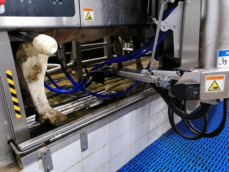 Les prix moyens du lait cru dans l’UE ont commencé à diminuer en janvier 2023 après vingt-quatre mois de croissance ininterrompue. 