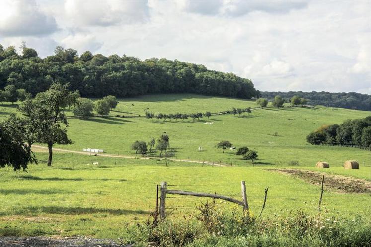 Dans le cadre de la Pac, tout retournement effectué à partir du 16 mai 2020 doit faire l’objet d’une autorisation 
de la DDT(M).