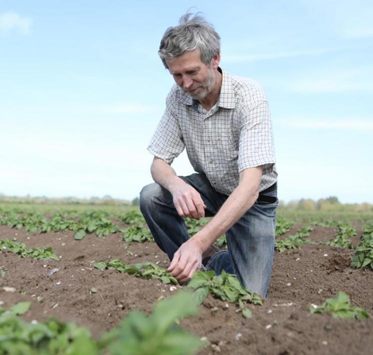 Henri Poupart a débuté la plantation de la pomme de terre nouvelle ce 8 mars. 