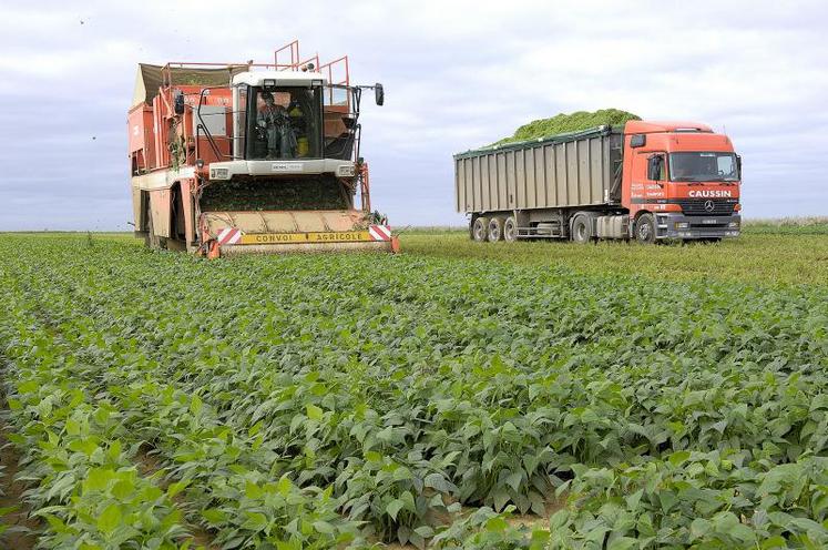 L’entreprise, spécialisée dans la transformation des légumes, a réalisé un chiffre d’affaires de 2,776 Md€, soit une progression de 21,4 %. 