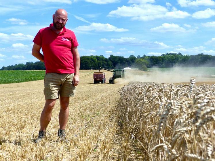 Pour Édouard Guilbart, la moisson rythme aussi avec plantation : celle des couverts, semés en direct, presque derrière la batteuse pour profiter de la fraîcheur du sol.