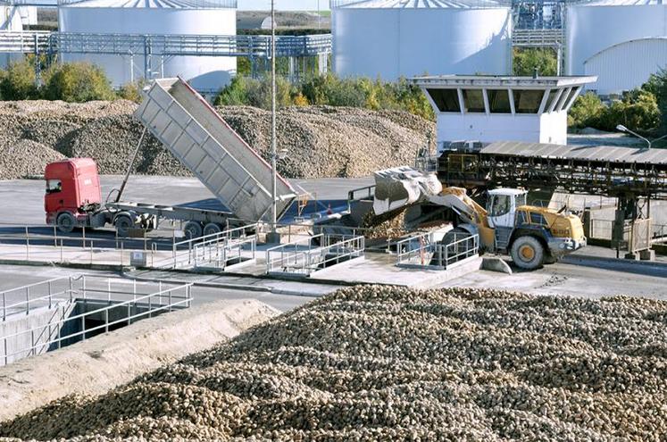 En 2017, le secteur betterave-sucre français se positionne comme l’un des plus compétitifs au sein de l’Union européenne.