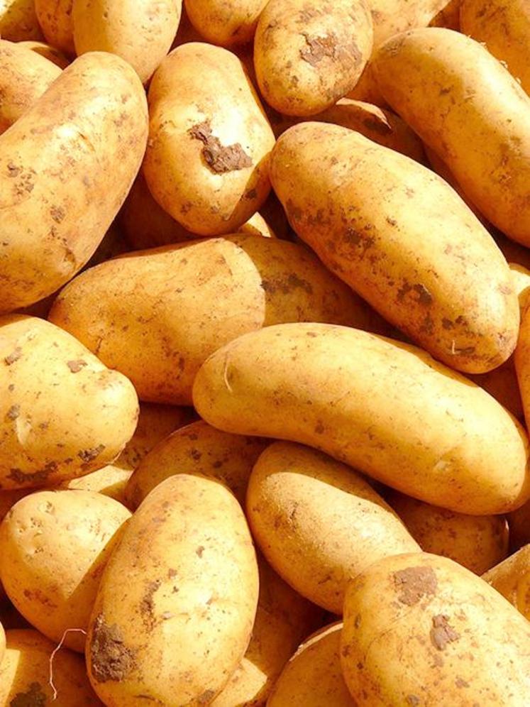 Compte tenu des conditions de récolte en 2019, une attention particulière est à apporter au stockage.