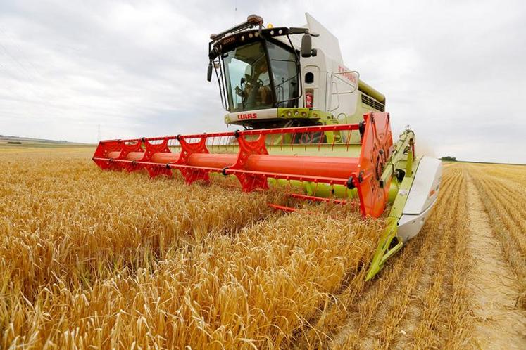 On observe un important report de semis de blé tendre et d'orges d'hiver qui n'ont pas pu être réalisés : les surfaces d'orges de printemps sont en hausse de 19 % par rapport à 2019.