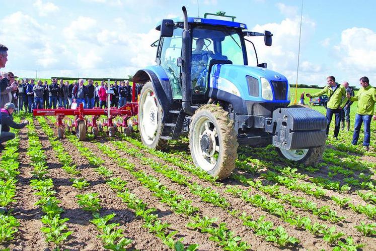 Au travail, dans des parcelles déjà très propres, toutes les machines ont donné de bons résultats.