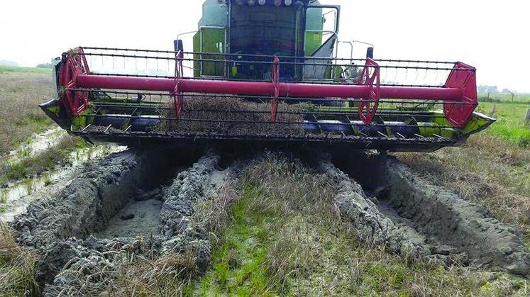 Difficile pour les moissonneuses-batteuses d'entrer dans les parcelles sous peine de s’enliser.