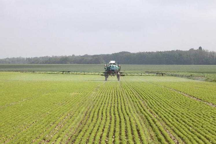 Fonction des usages, l’utilisation du glyphosate pourrait être plus ou moins possible encore quelques temps.