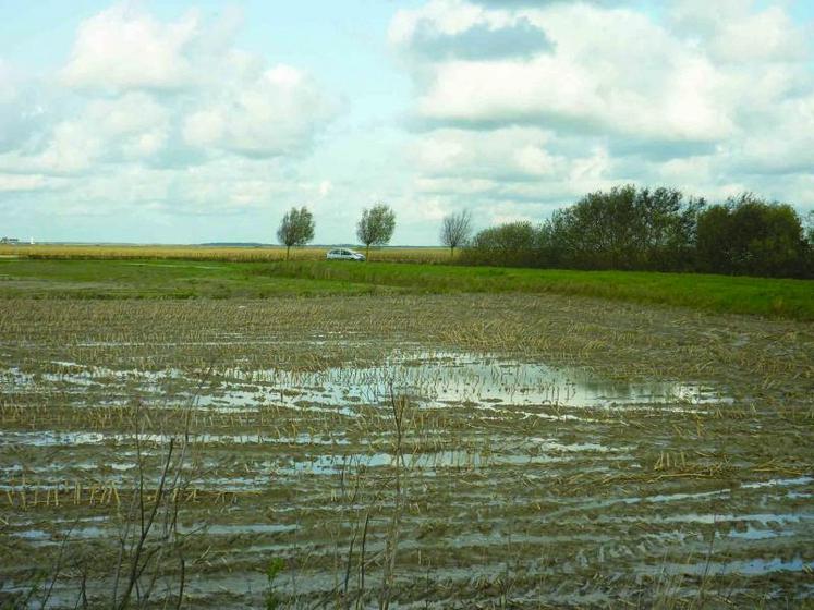 En bas-champs, mieux vaut semer en bonnes conditions au 15 février qu’en mauvaises conditions au 1er décembre.