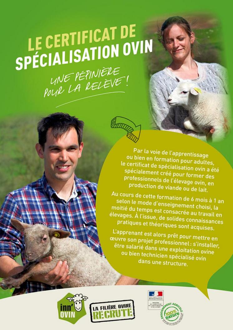 Si vous souhaitez vous spécialiser en ovins, le CSO est la formation qu’il vous faut.