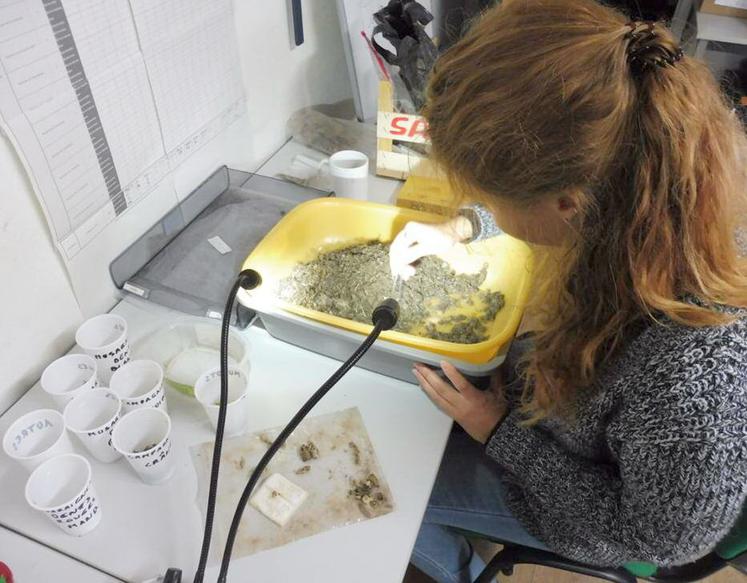 Analyses de pelotes de réjection