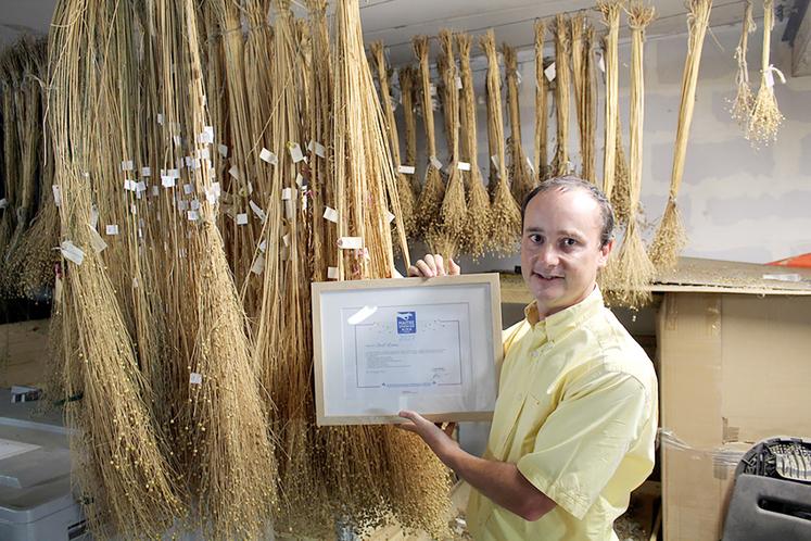 «Sur le plan international, 80 % de la fibre de lin textile sont produits sur les territoires situés entre Caen (Calvados) et Amsterdam (Pays-Bas). 80 % de cette production mondiale sont récoltés en France», détaille Charles-Henri Biard.