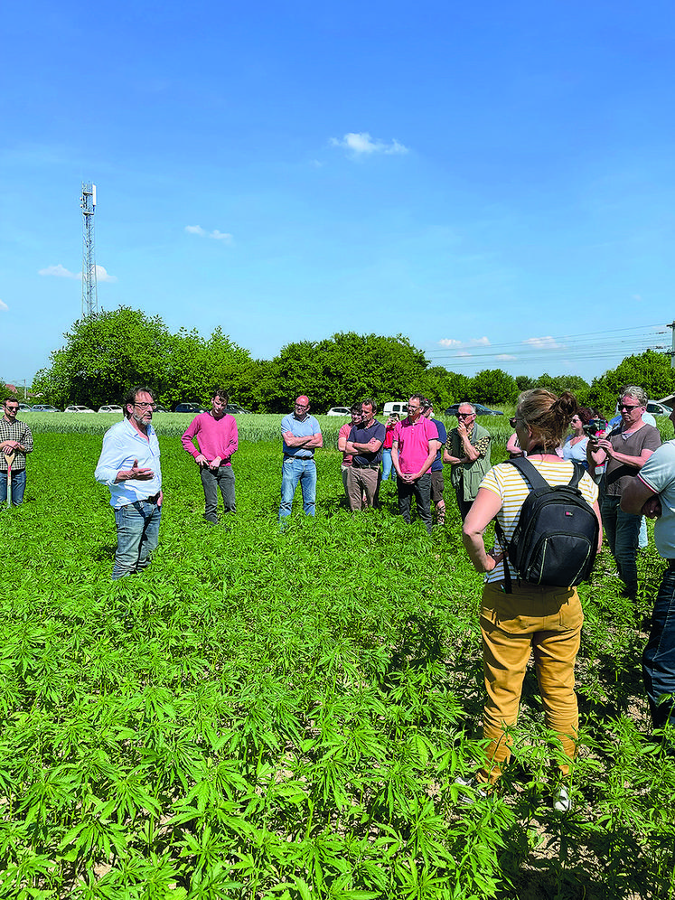 Le chanvre ne présente que des qualités : moins d'intrants, moins d'eau, séquestion du CO2, et est entièrement valorisable.
