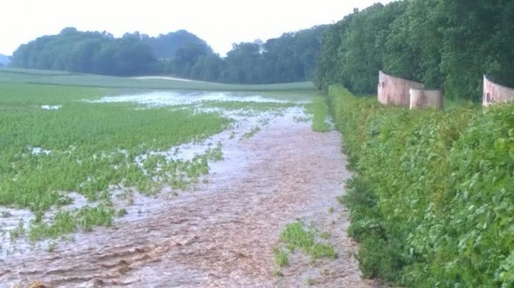 Impact du ruissellement dans la zone des captages de Morchain, lors des orages de 2015.