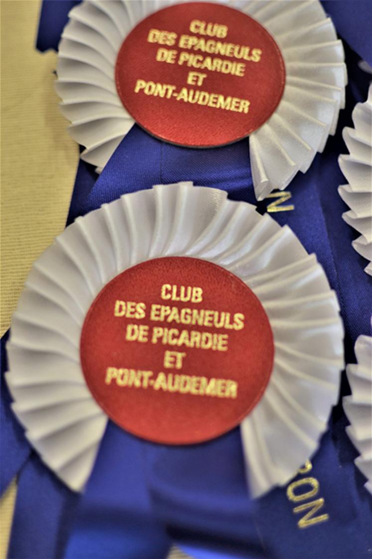 Une Nationale d’élevage récompense les meilleurs sujets d’une race donnée ; en l’occurrence, les épagneuls bleu de Picardie, picard et Pont-Audemer. 